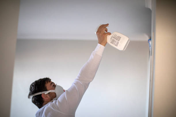 Best Mold Testing and Removal  in Pinole, CA